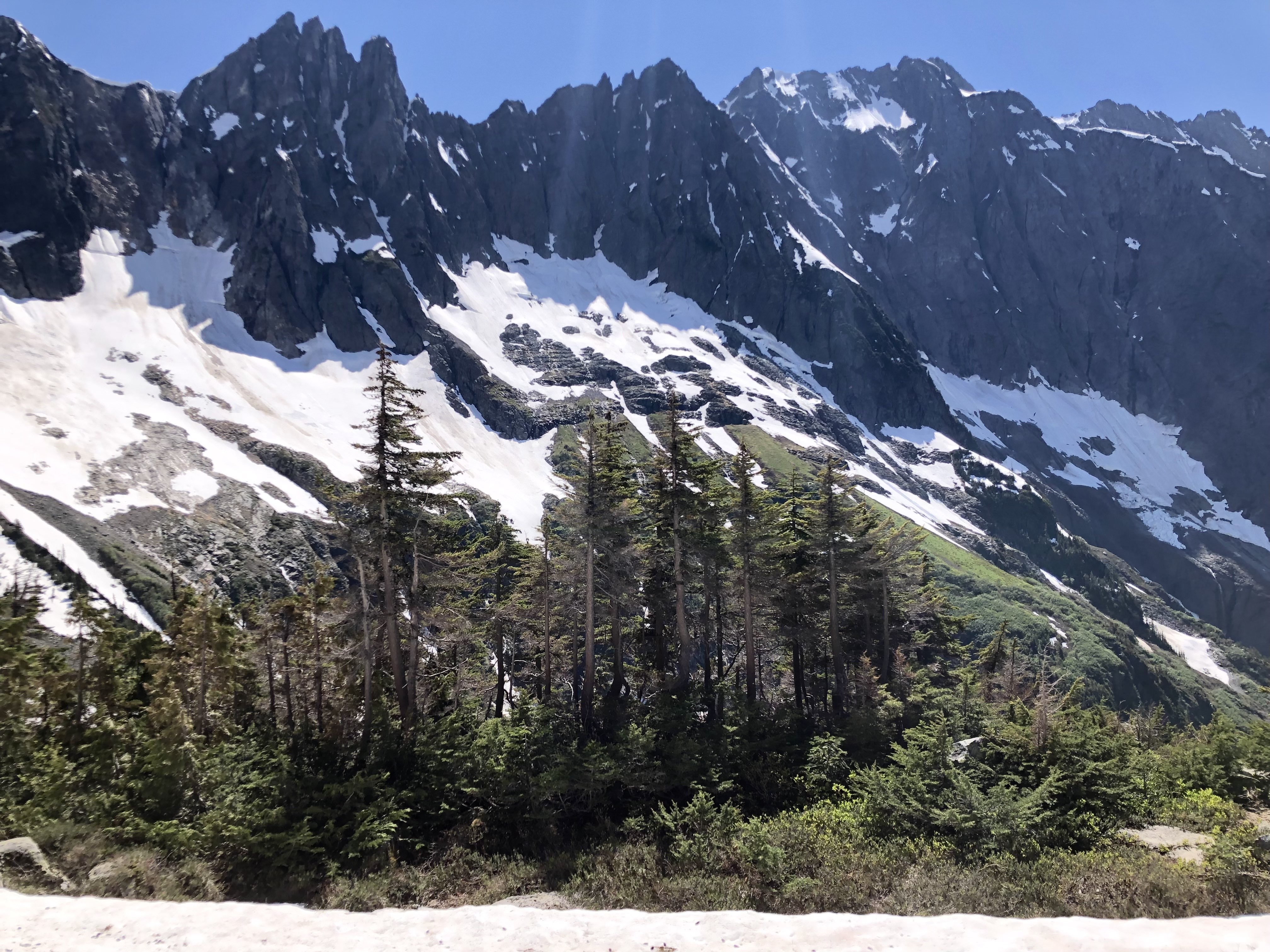 Snow capped mountains