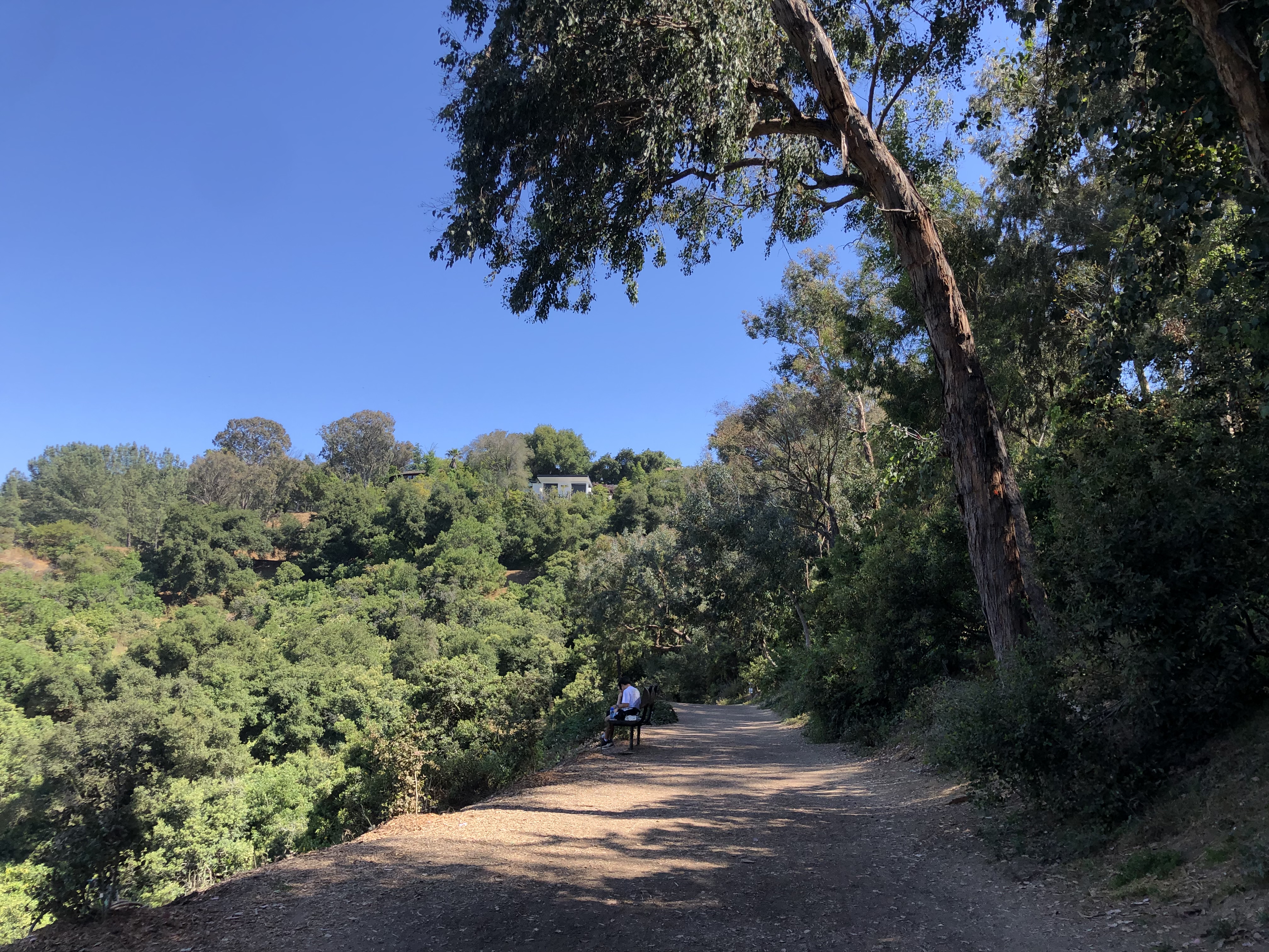 Hiking trail