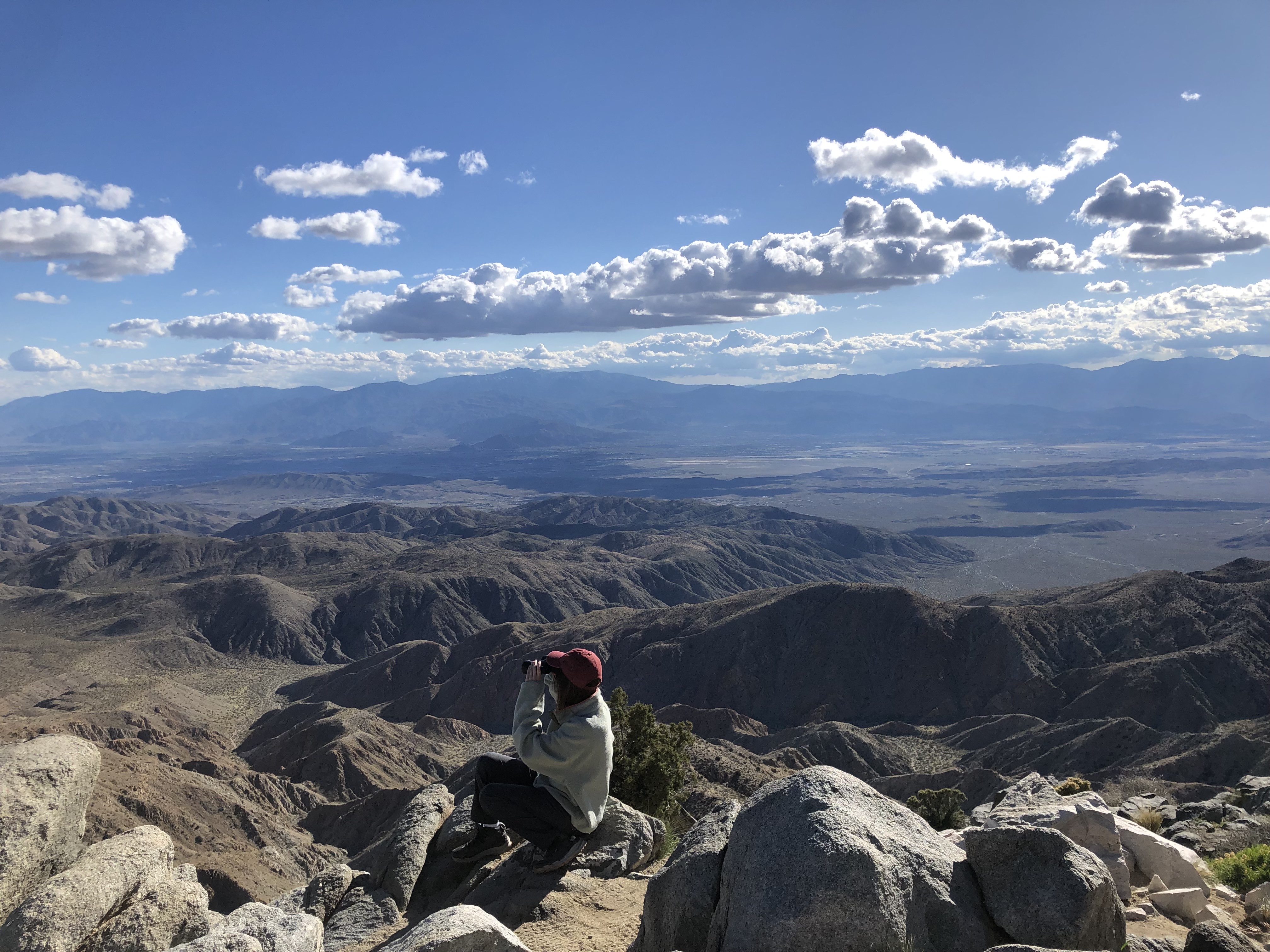 joshuatree