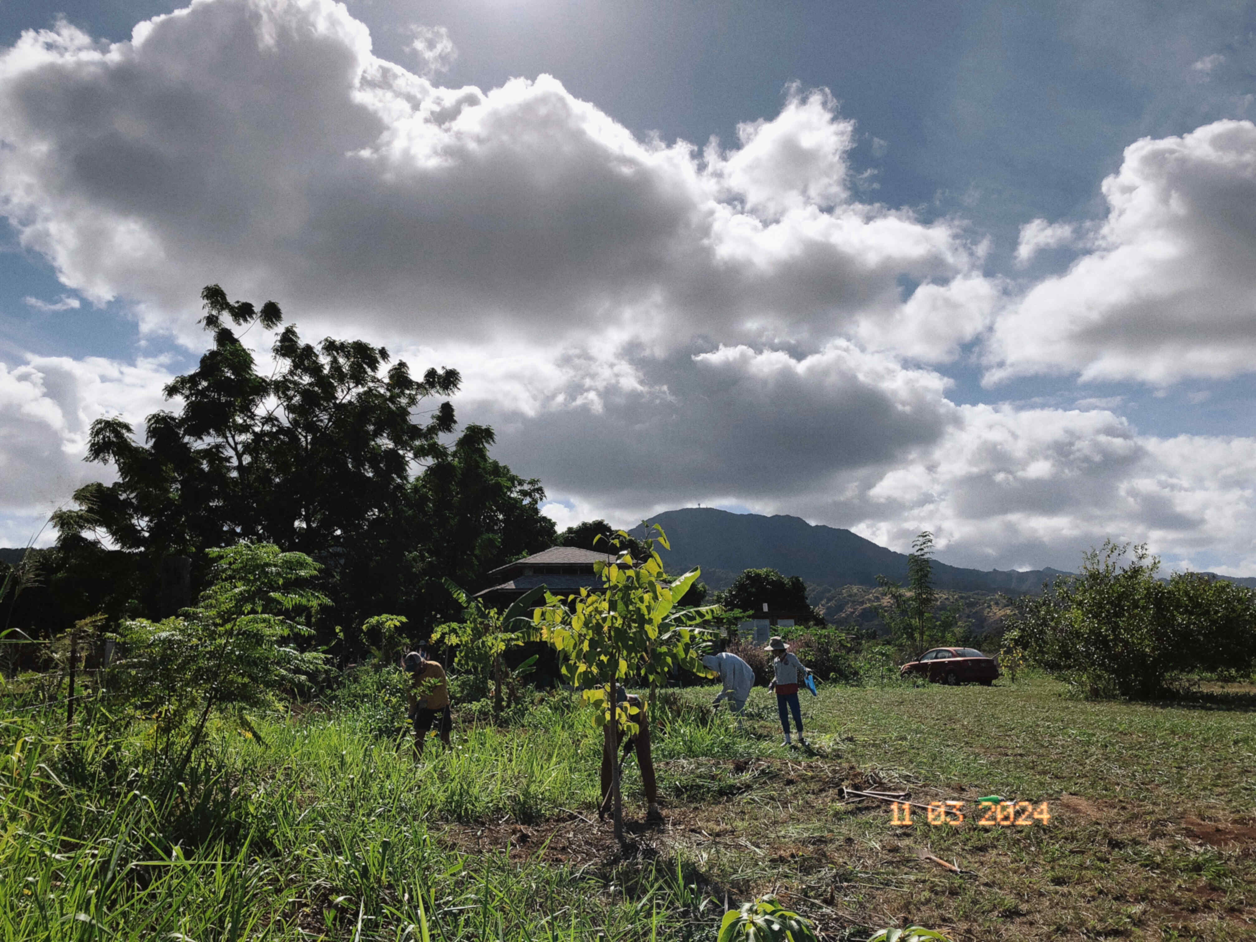 farm work