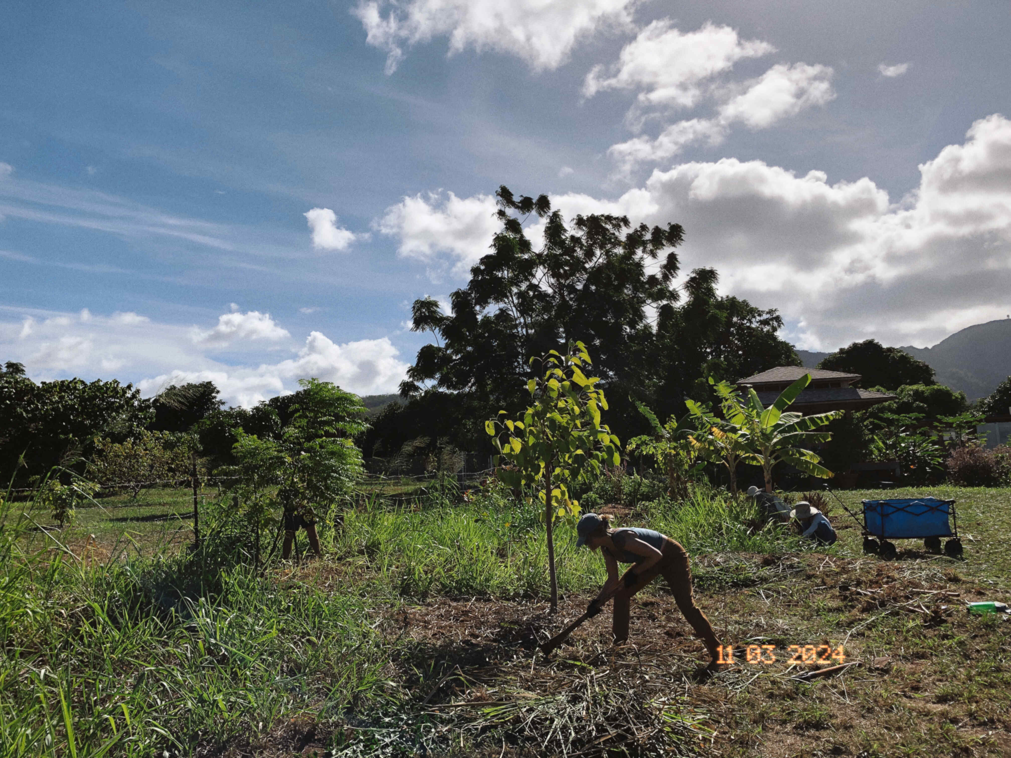 farm work