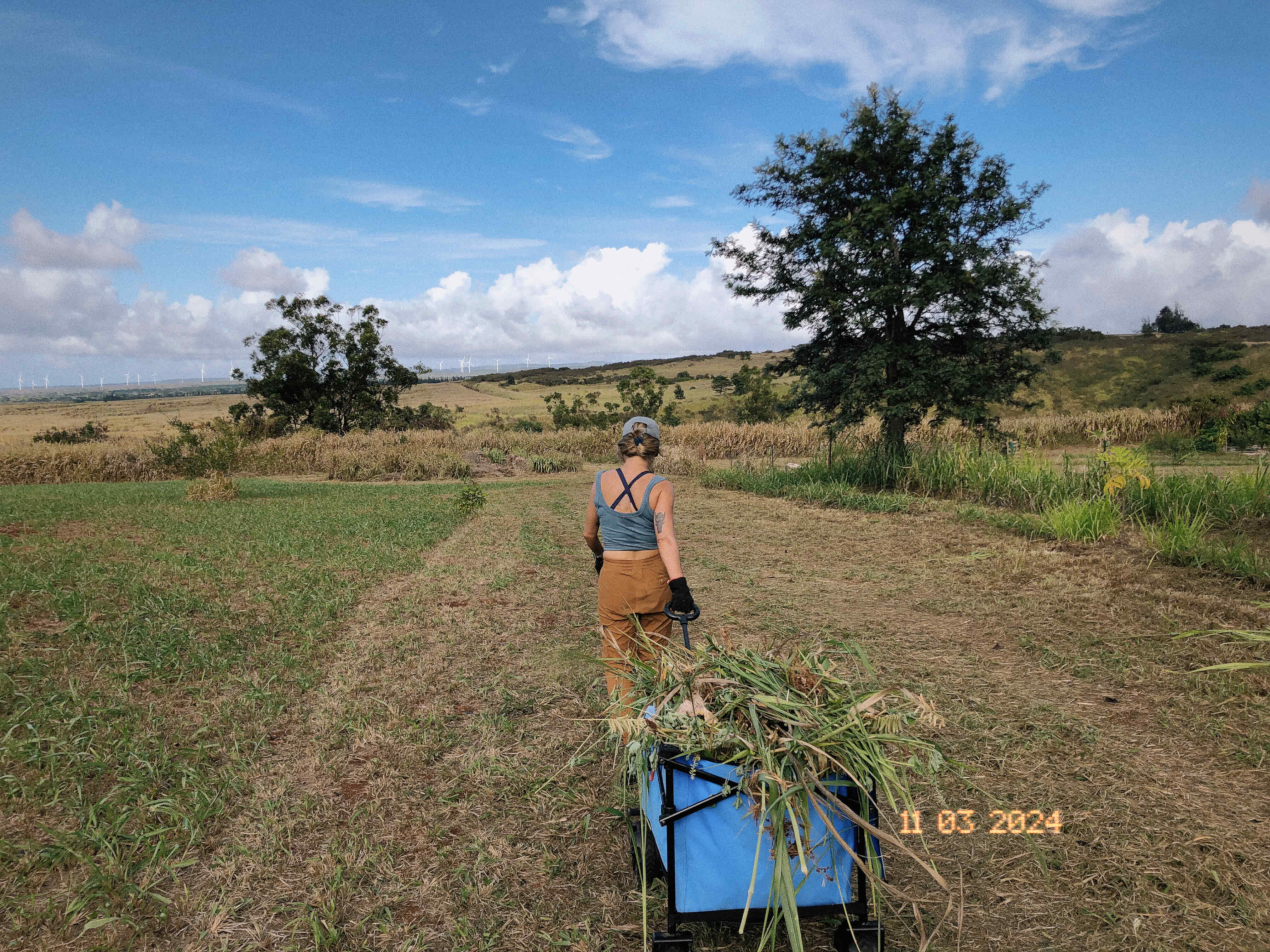 farm work