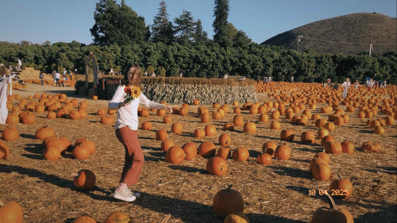 pumpkin patch
