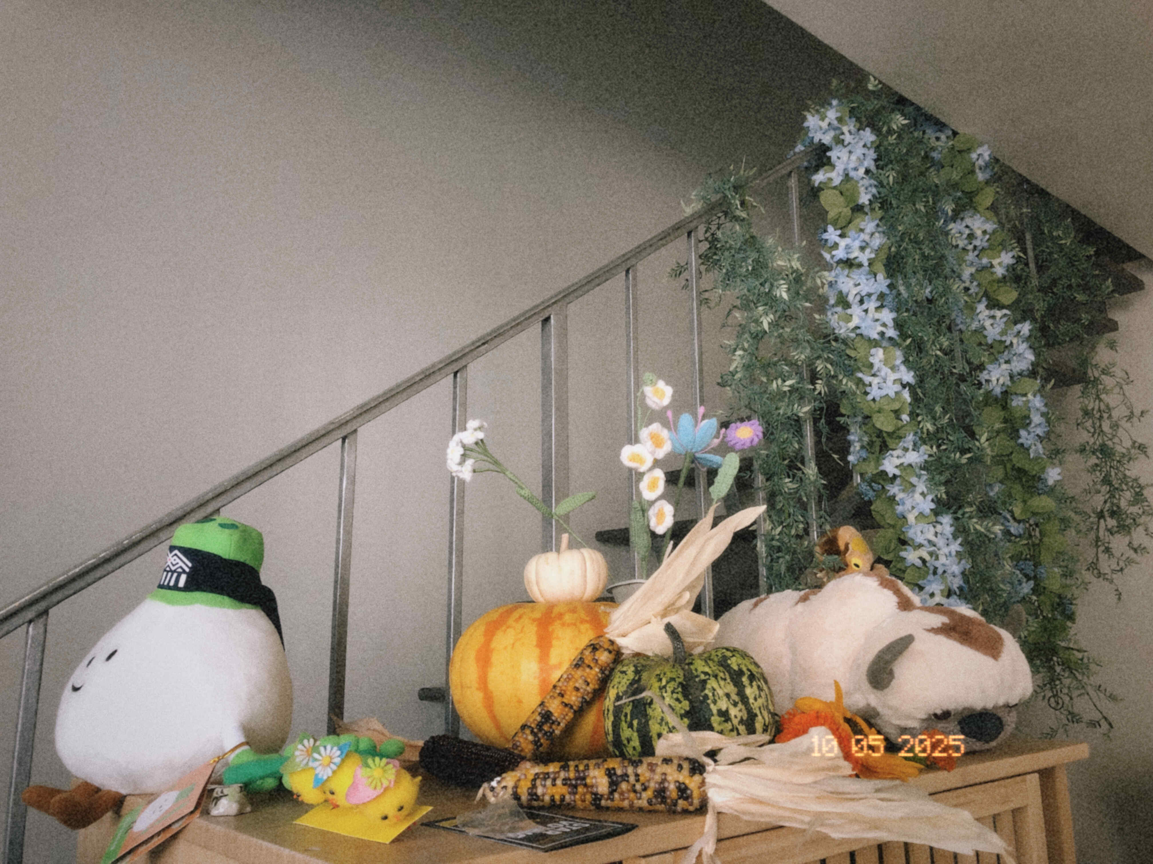 pumpkins