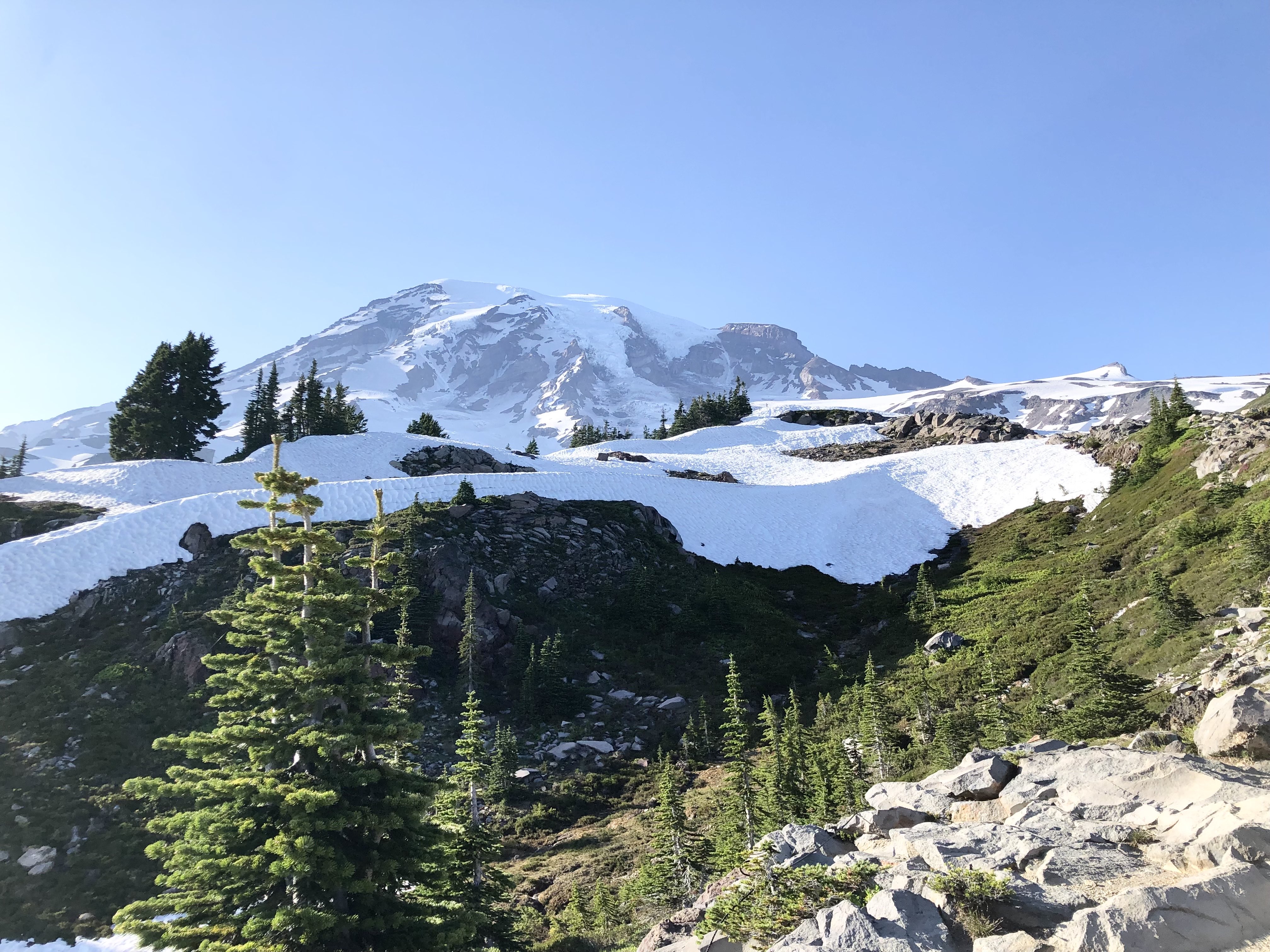 Mt Rainier